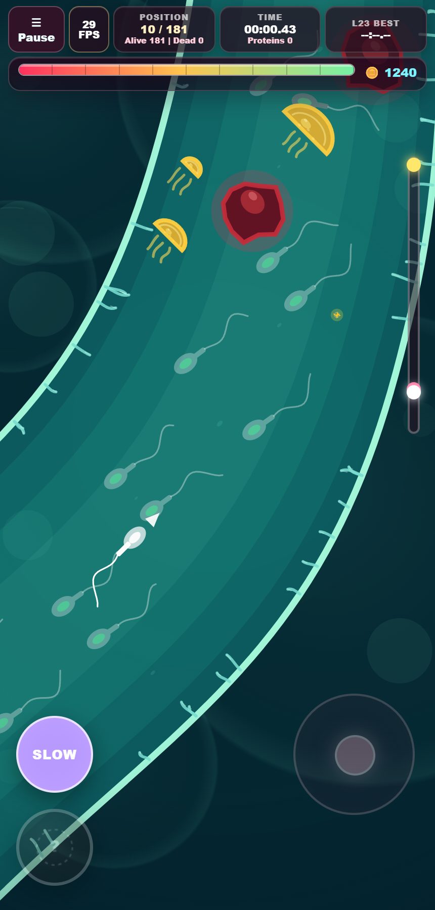 A luminous green bend packed with swimmers and moving obstacles.